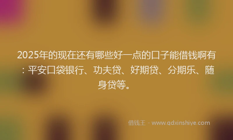 2025年的现在还有哪些好一点的口子能借钱啊有：平安口袋银行、功夫贷、好期贷、分期乐、随身贷等。