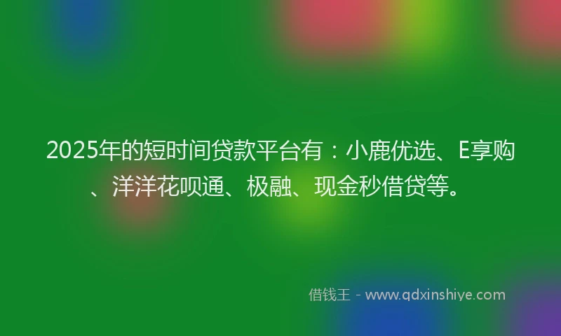 2025年的短时间贷款平台有：小鹿优选、E享购、洋洋花呗通、极融、现金秒借贷等。