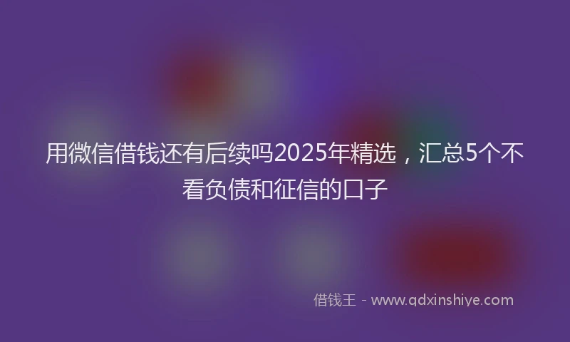 用微信借钱还有后续吗2025年精选，汇总5个不看负债和征信的口子