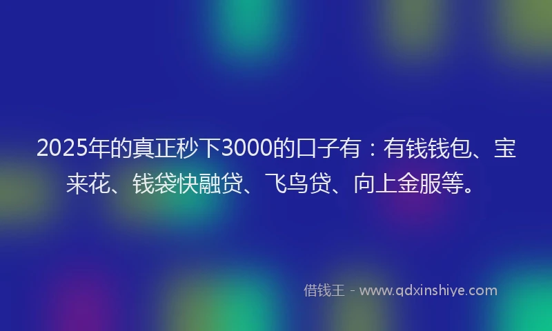 2025年的真正秒下3000的口子有：有钱钱包、宝来花、钱袋快融贷、飞鸟贷、向上金服等。