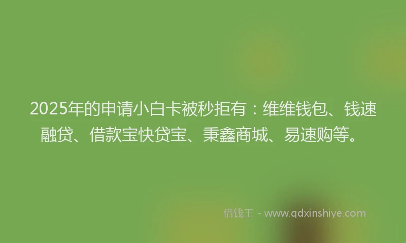 2025年的申请小白卡被秒拒有：维维钱包、钱速融贷、借款宝快贷宝、秉鑫商城、易速购等。