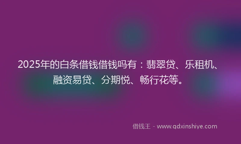 2025年的白条借钱借钱吗有：翡翠贷、乐租机、融资易贷、分期悦、畅行花等。