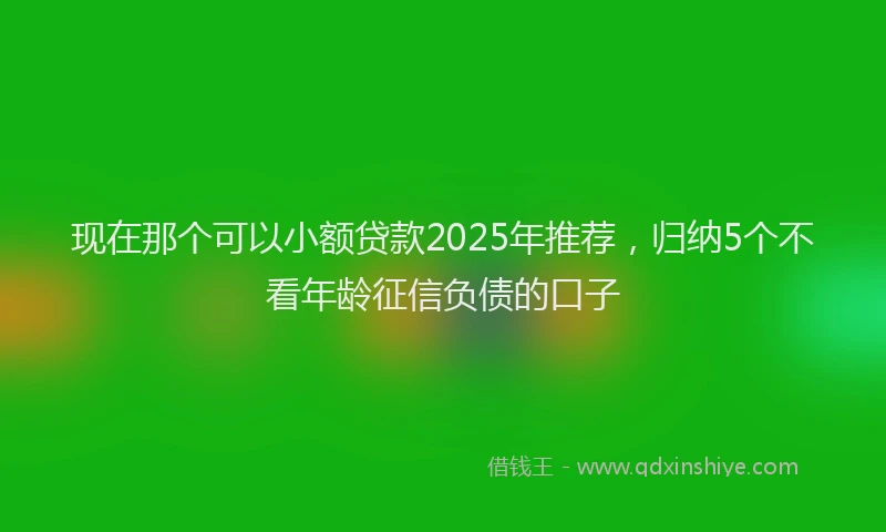 现在那个可以小额贷款2025年推荐，归纳5个不看年龄征信负债的口子