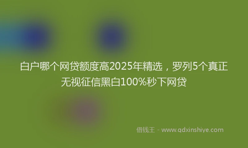 白户哪个网贷额度高2025年精选，罗列5个真正无视征信黑白100%秒下网贷