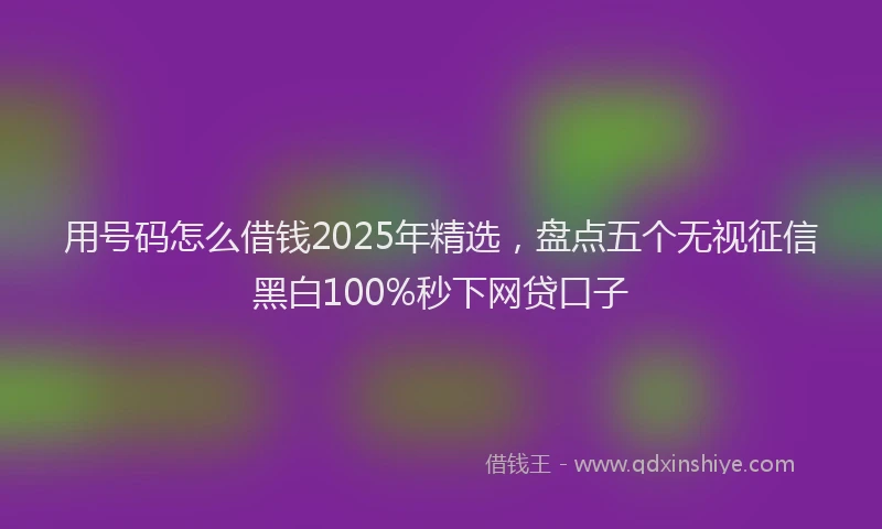 用号码怎么借钱2025年精选，盘点五个无视征信黑白100%秒下网贷口子