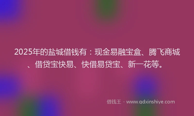 2025年的盐城借钱有：现金易融宝盒、腾飞商城、借贷宝快易、快借易贷宝、新一花等。