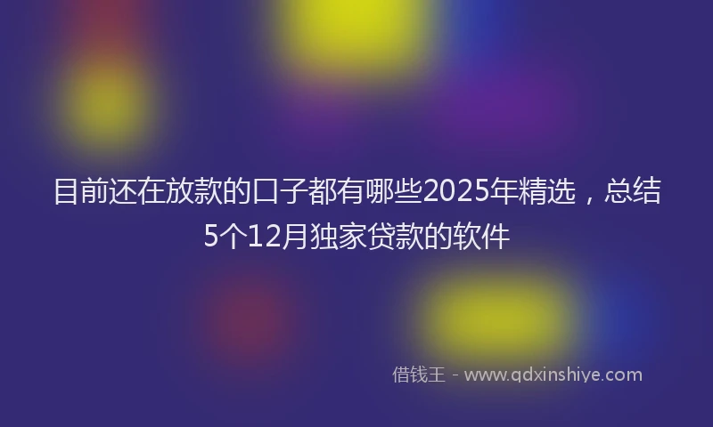 目前还在放款的口子都有哪些2025年精选，总结5个12月独家贷款的软件