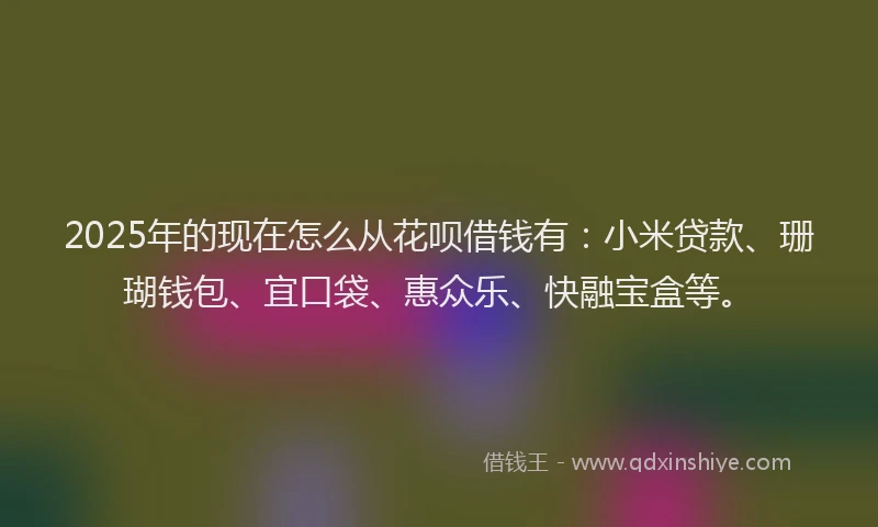 2025年的现在怎么从花呗借钱有：小米贷款、珊瑚钱包、宜口袋、惠众乐、快融宝盒等。