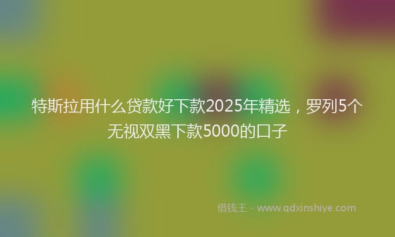 特斯拉用什么贷款好下款2025年精选，罗列5个无视双黑下款5000的口子