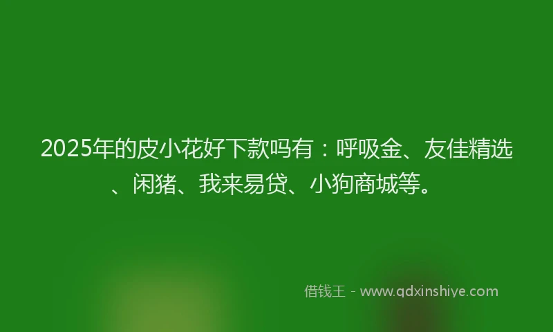 2025年的皮小花好下款吗有：呼吸金、友佳精选、闲猪、我来易贷、小狗商城等。