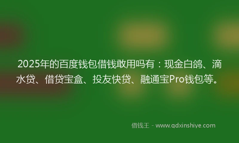 2025年的百度钱包借钱敢用吗有：现金白鸽、滴水贷、借贷宝盒、投友快贷、融通宝Pro钱包等。