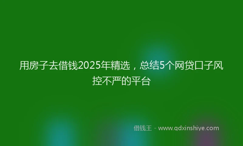 用房子去借钱2025年精选，总结5个网贷口子风控不严的平台