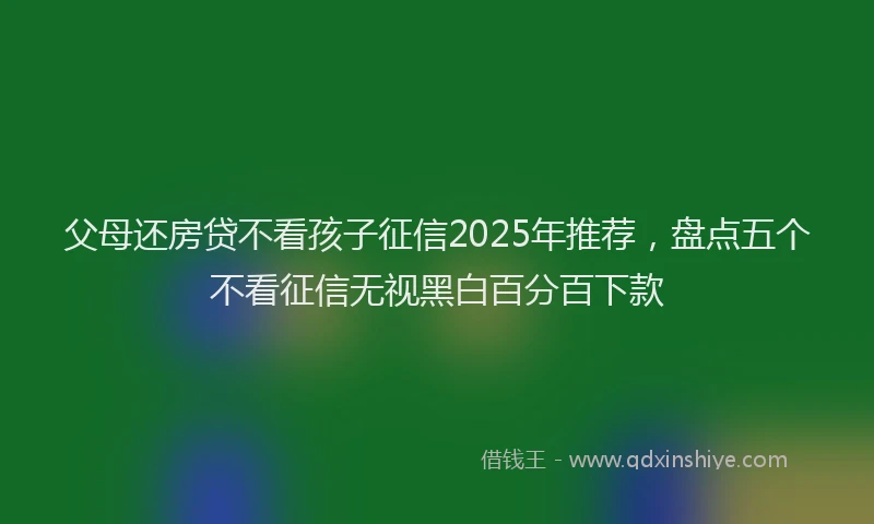 父母还房贷不看孩子征信2025年推荐，盘点五个不看征信无视黑白百分百下款