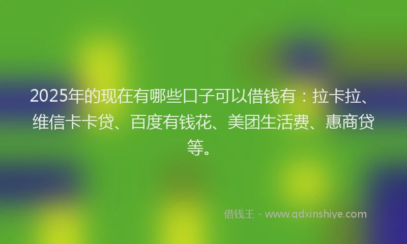 2025年的现在有哪些口子可以借钱有：拉卡拉、维信卡卡贷、百度有钱花、美团生活费、惠商贷等。