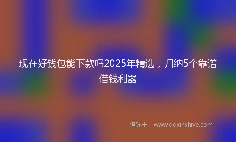 现在好钱包能下款吗2025年精选，归纳5个靠谱借钱利器