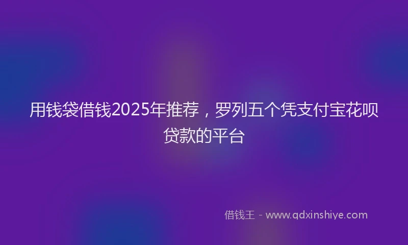 用钱袋借钱2025年推荐，罗列五个凭支付宝花呗贷款的平台