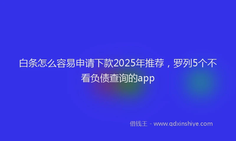 白条怎么容易申请下款2025年推荐，罗列5个不看负债查询的app