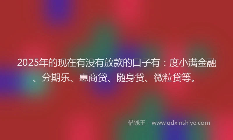 2025年的现在有没有放款的口子有：度小满金融、分期乐、惠商贷、随身贷、微粒贷等。
