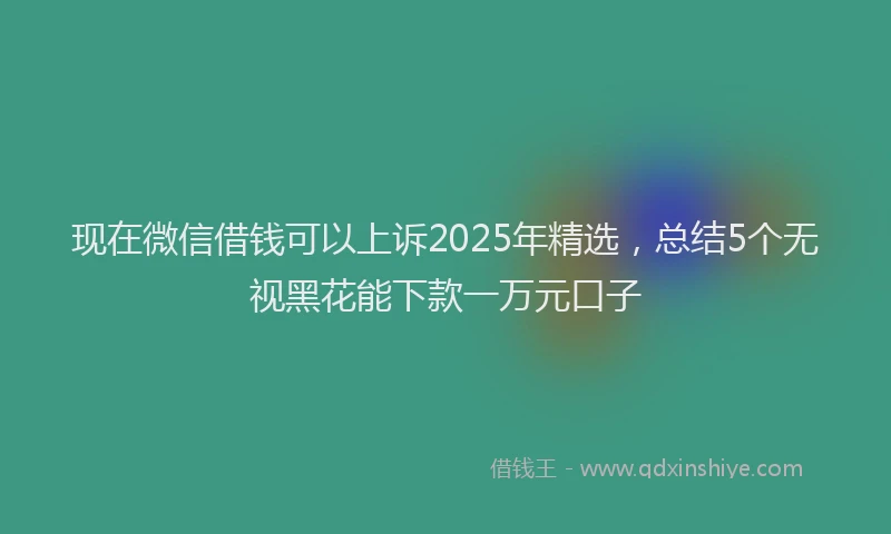 现在微信借钱可以上诉2025年精选，总结5个无视黑花能下款一万元口子