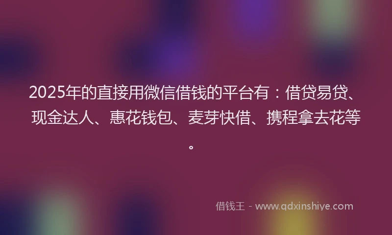2025年的直接用微信借钱的平台有：借贷易贷、现金达人、惠花钱包、麦芽快借、携程拿去花等。