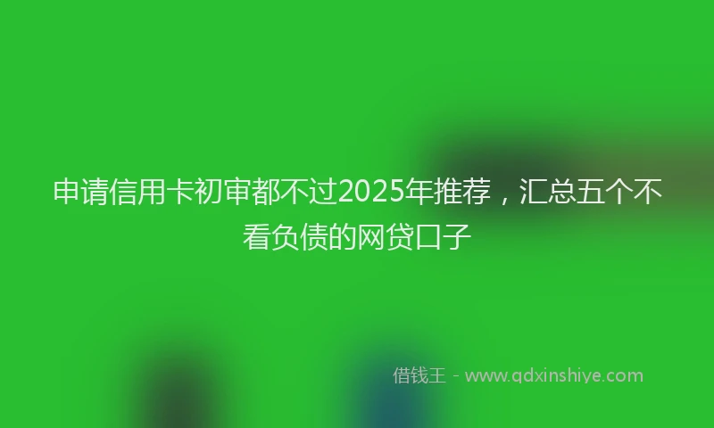 申请信用卡初审都不过2025年推荐，汇总五个不看负债的网贷口子