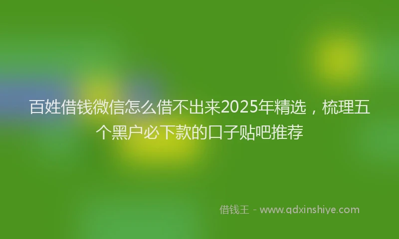 百姓借钱微信怎么借不出来2025年精选，梳理五个黑户必下款的口子贴吧推荐
