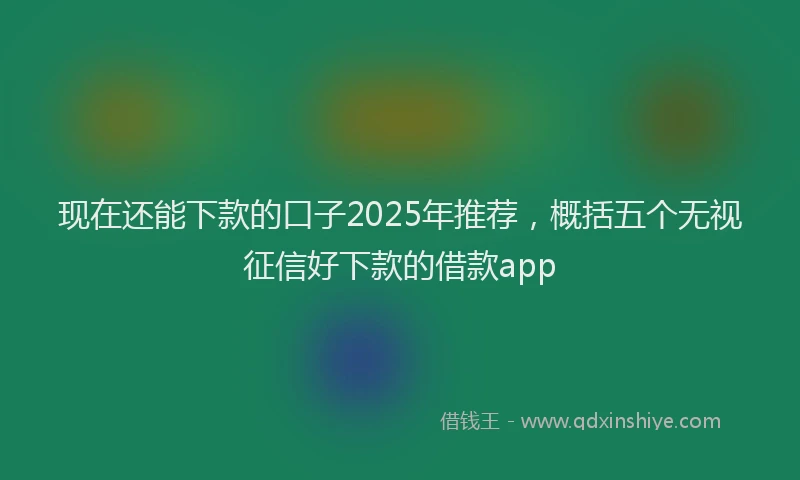 现在还能下款的口子2025年推荐，概括五个无视征信好下款的借款app