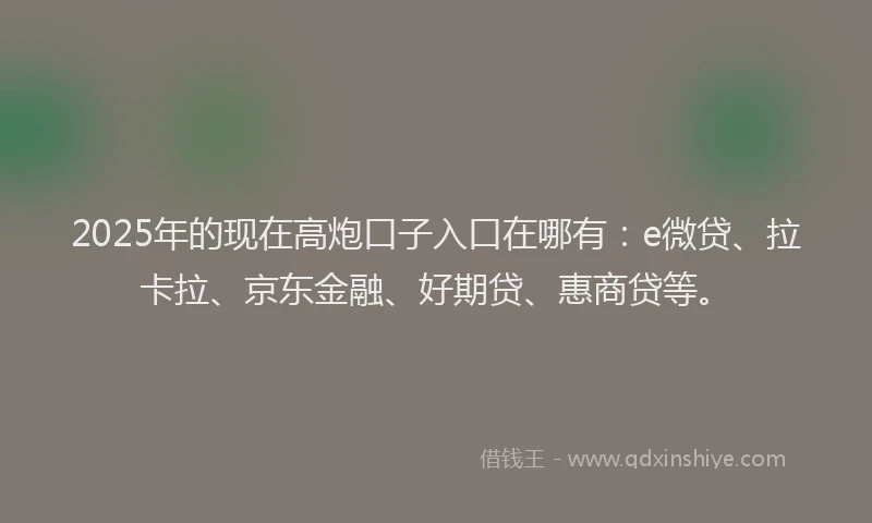 2025年的现在高炮口子入口在哪有：e微贷、拉卡拉、京东金融、好期贷、惠商贷等。