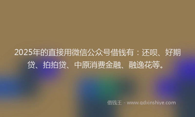 2025年的直接用微信公众号借钱有：还呗、好期贷、拍拍贷、中原消费金融、融逸花等。