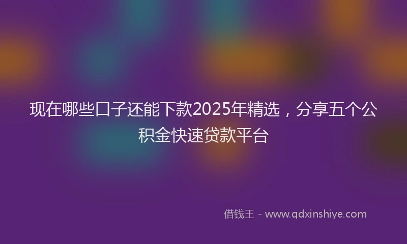 现在哪些口子还能下款2025年精选，分享五个公积金快速贷款平台