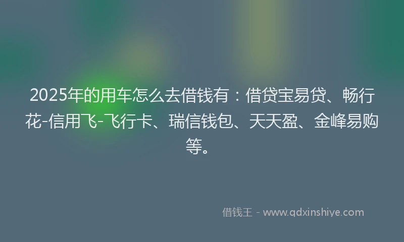 2025年的用车怎么去借钱有：借贷宝易贷、畅行花-信用飞-飞行卡、瑞信钱包、天天盈、金峰易购等。
