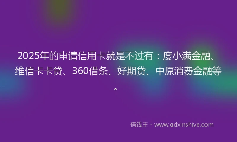 2025年的申请信用卡就是不过有：度小满金融、维信卡卡贷、360借条、好期贷、中原消费金融等。