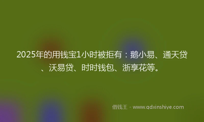 2025年的用钱宝1小时被拒有：鹅小易、通天贷、沃易贷、时时钱包、浙享花等。