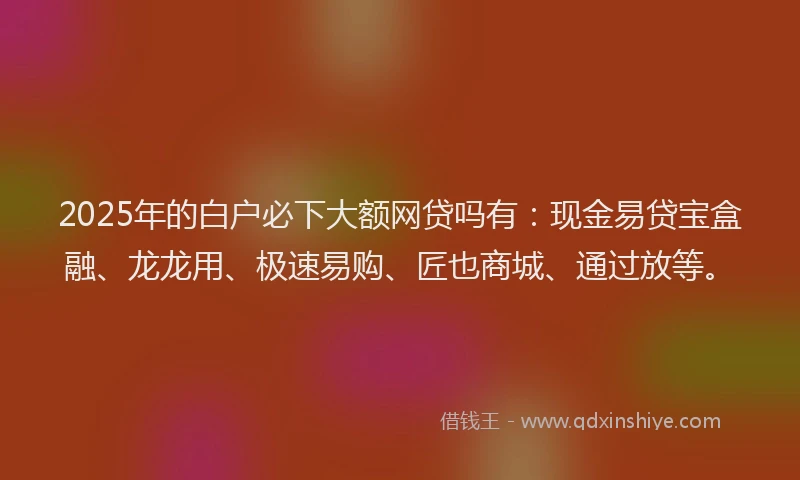 2025年的白户必下大额网贷吗有：现金易贷宝盒融、龙龙用、极速易购、匠也商城、通过放等。