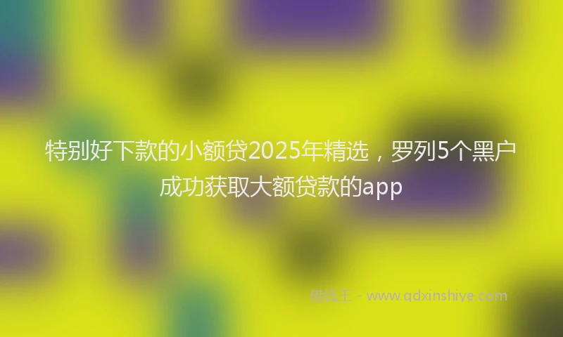 特别好下款的小额贷2025年精选，罗列5个黑户成功获取大额贷款的app