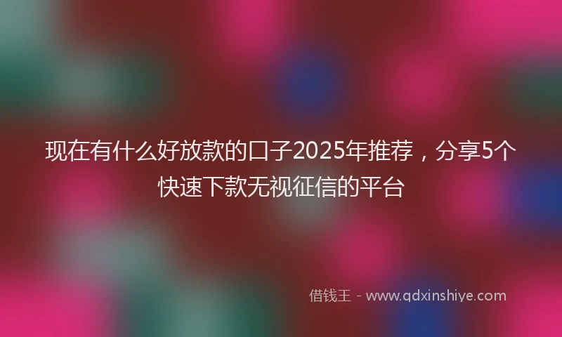 现在有什么好放款的口子2025年推荐，分享5个快速下款无视征信的平台