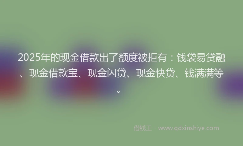 2025年的现金借款出了额度被拒有：钱袋易贷融、现金借款宝、现金闪贷、现金快贷、钱满满等。