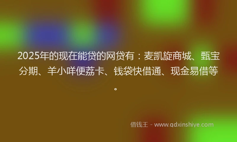 2025年的现在能贷的网贷有：麦凯旋商城、甄宝分期、羊小咩便荔卡、钱袋快借通、现金易借等。