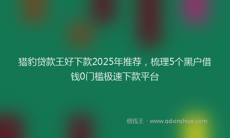 猎豹贷款王好下款2025年推荐，梳理5个黑户借钱0门槛极速下款平台