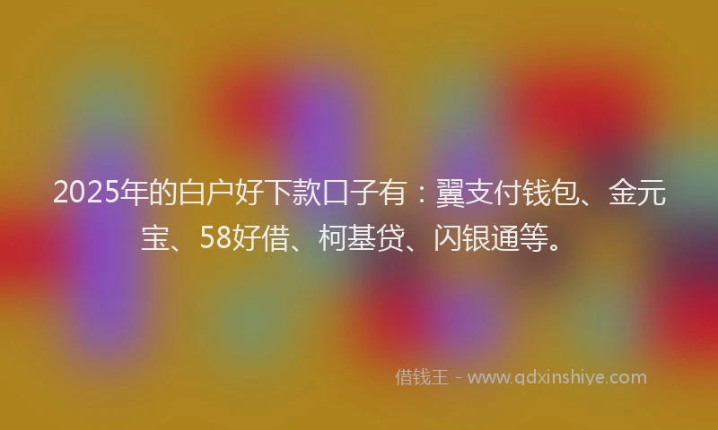 2025年的白户好下款口子有：翼支付钱包、金元宝、58好借、柯基贷、闪银通等。