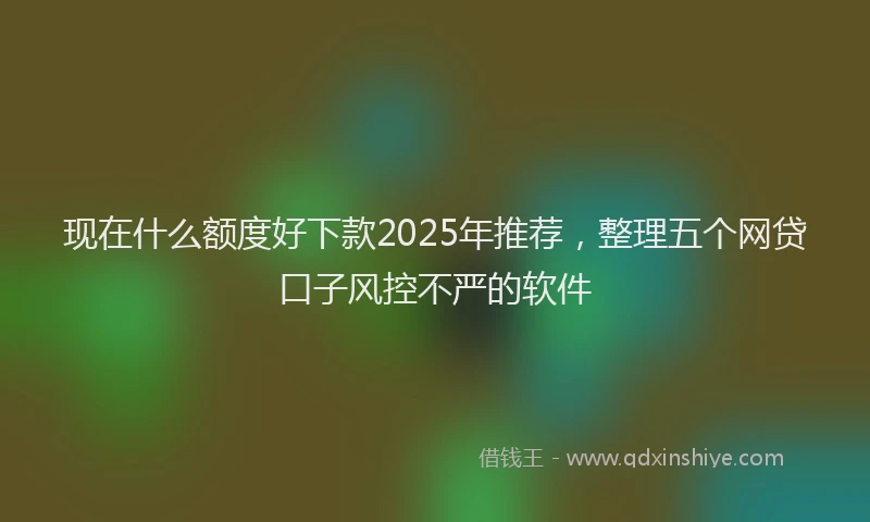 现在什么额度好下款2025年推荐，整理五个网贷口子风控不严的软件