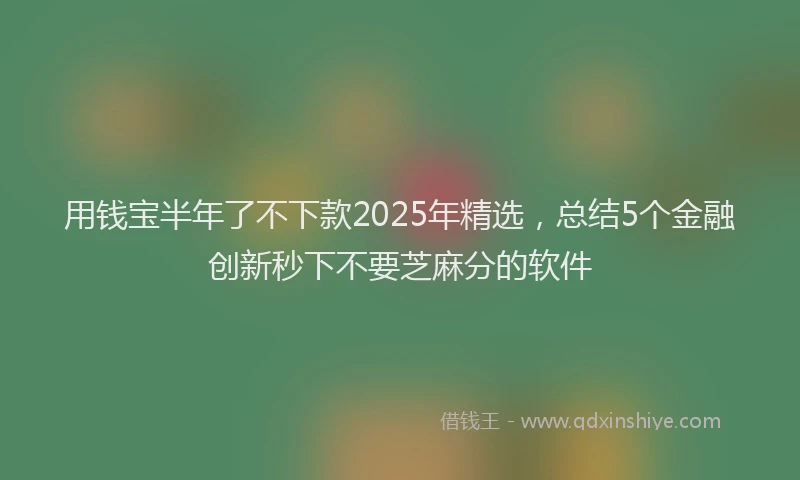 用钱宝半年了不下款2025年精选，总结5个金融创新秒下不要芝麻分的软件
