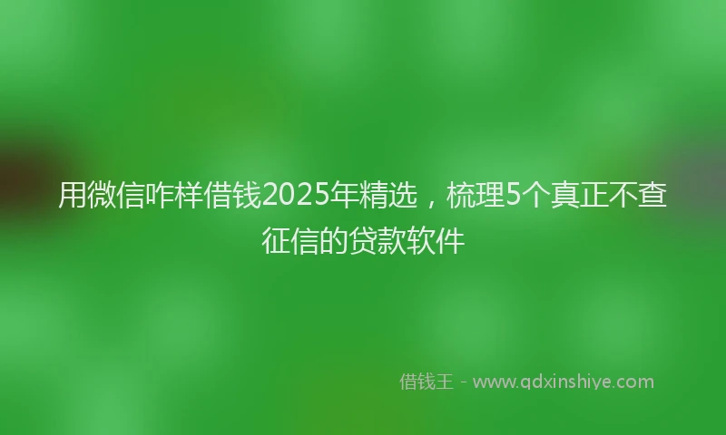用微信咋样借钱2025年精选，梳理5个真正不查征信的贷款软件