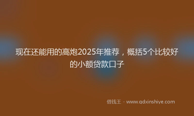 现在还能用的高炮2025年推荐，概括5个比较好的小额贷款口子