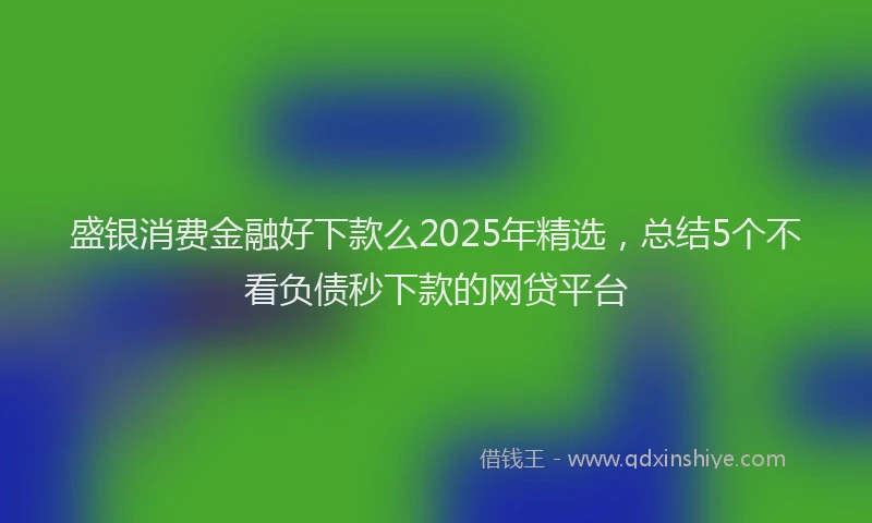 盛银消费金融好下款么2025年精选，总结5个不看负债秒下款的网贷平台