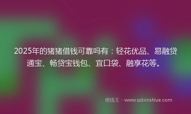 2025年的猪猪借钱可靠吗有：轻花优品、易融贷通宝、畅贷宝钱包、宜口袋、融享花等。