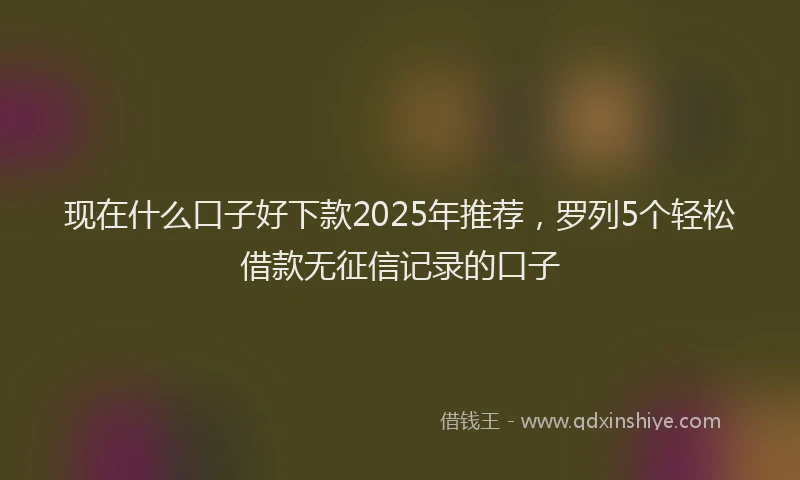现在什么口子好下款2025年推荐，罗列5个轻松借款无征信记录的口子