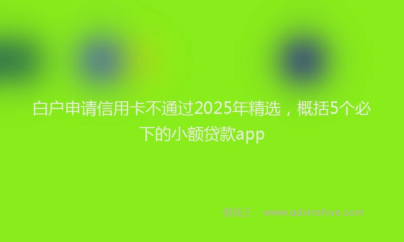 白户申请信用卡不通过2025年精选，概括5个必下的小额贷款app