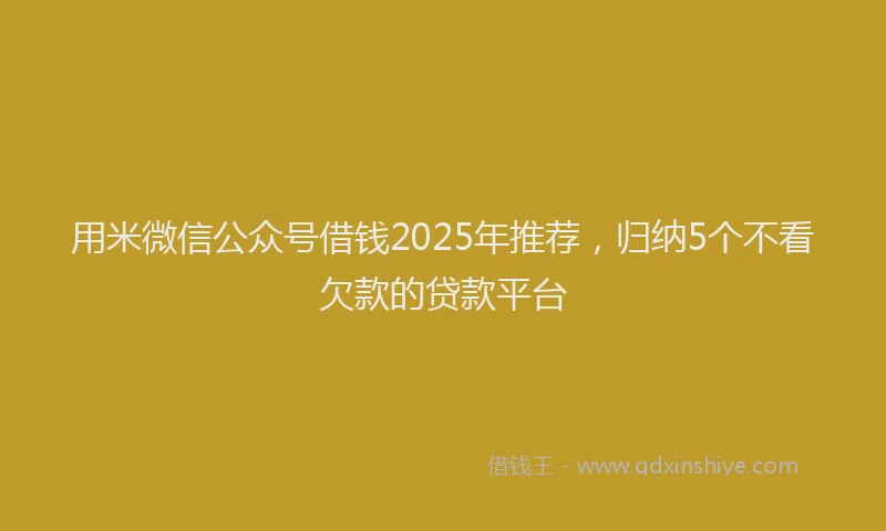 用米微信公众号借钱2025年推荐，归纳5个不看欠款的贷款平台