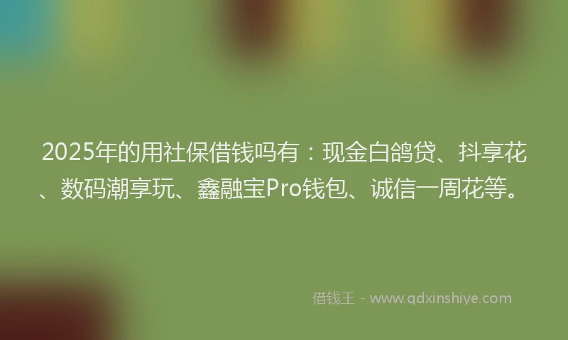 2025年的用社保借钱吗有：现金白鸽贷、抖享花、数码潮享玩、鑫融宝Pro钱包、诚信一周花等。